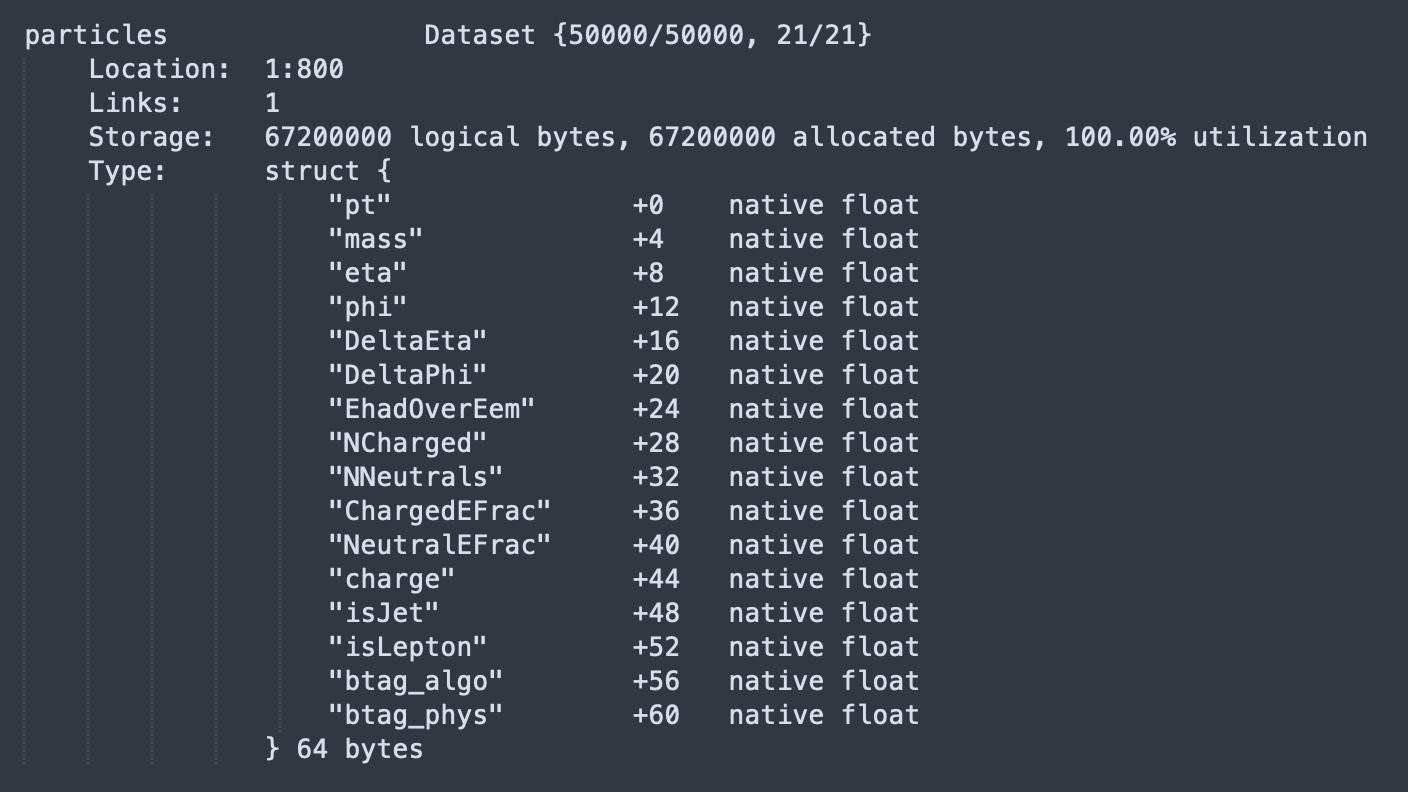 Example of Particle Dataset