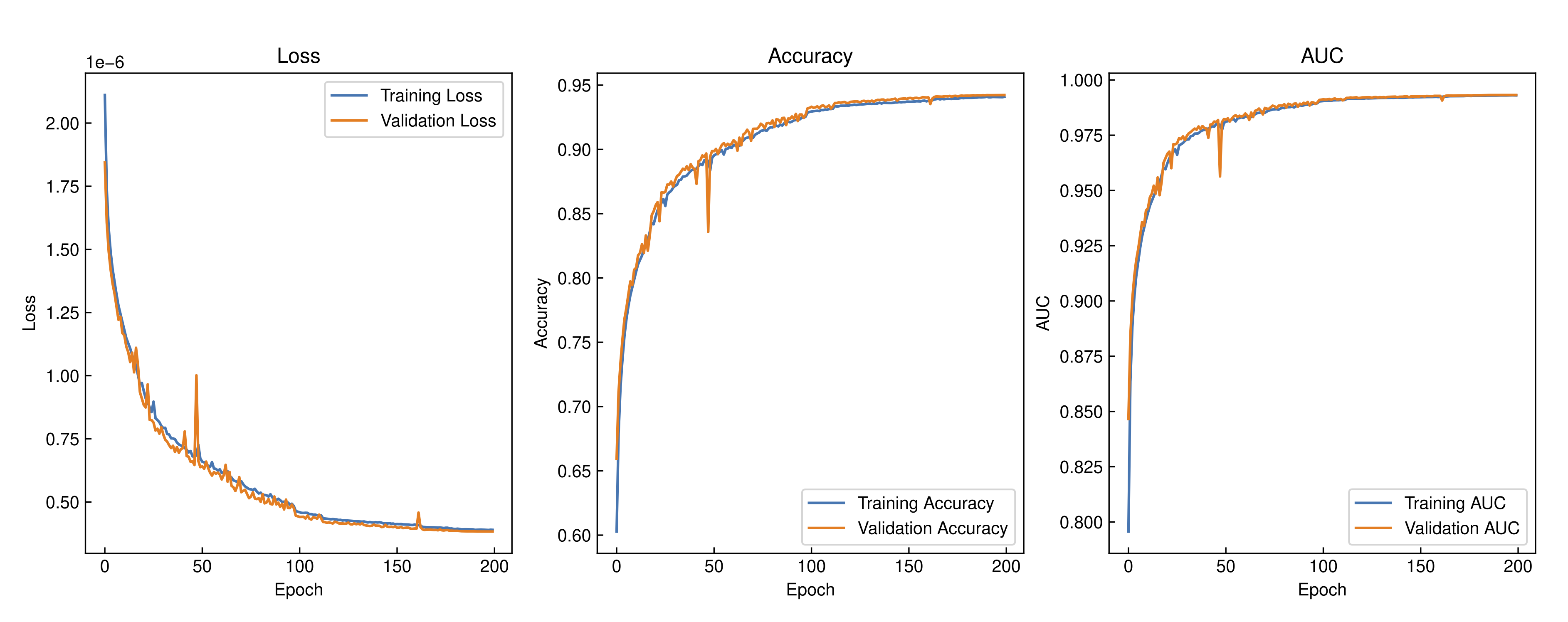 Training Curves